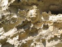 Albums/20060200-New Zealand 2006/20060316-Twiz/31